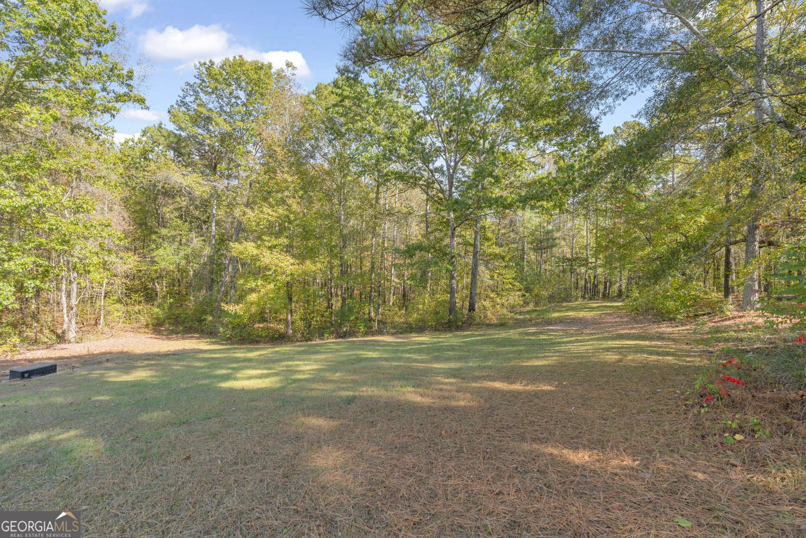 146 Moody Farm Road Newnan - 52