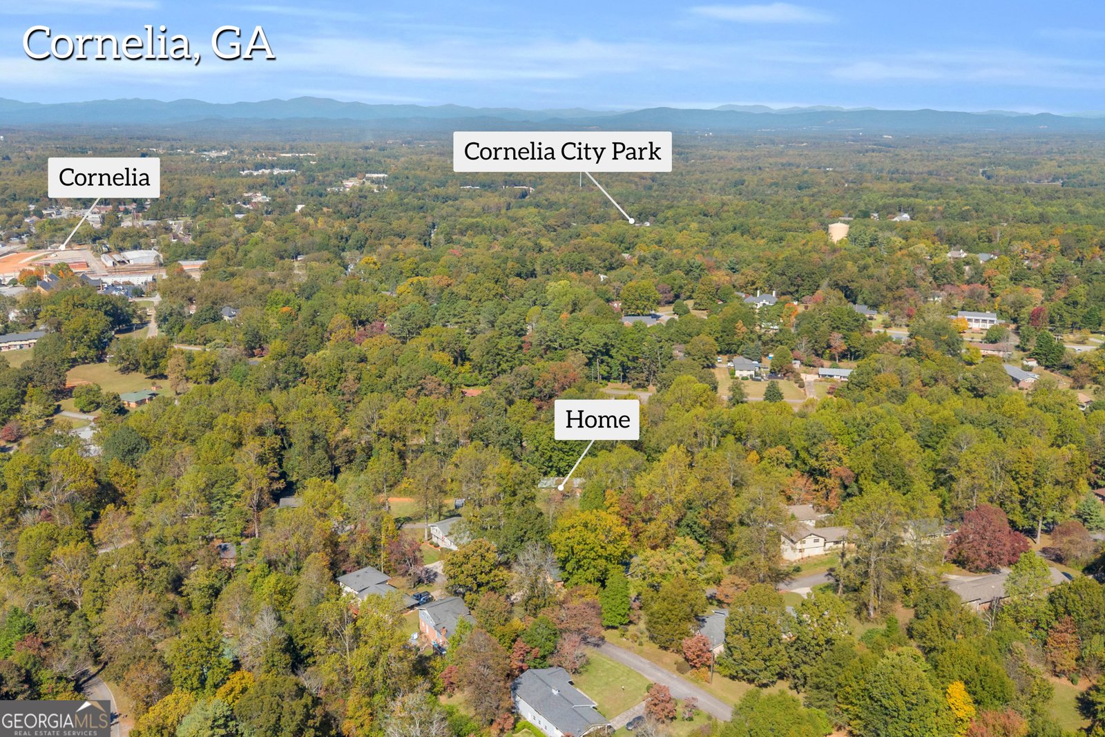 227 Short Avenue Cornelia - 41