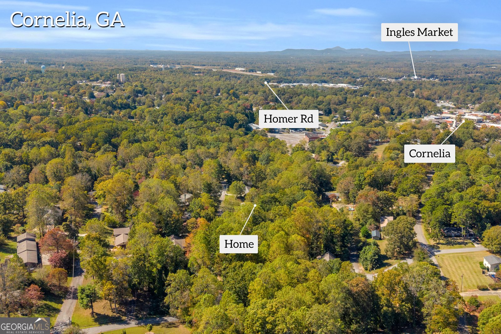 227 Short Avenue Cornelia - 43