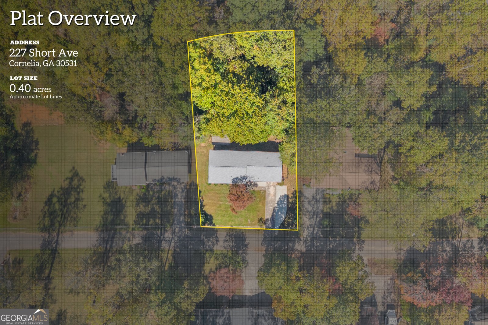 227 Short Avenue Cornelia - 45