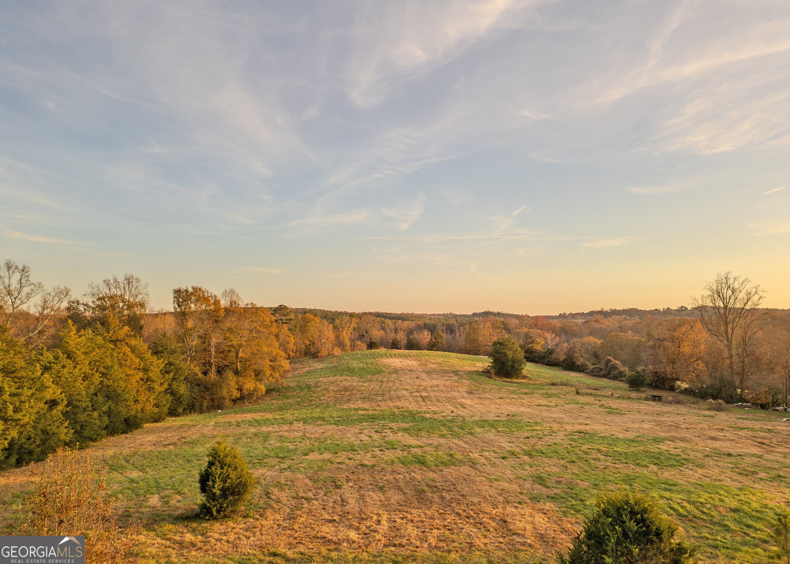 411 Griffin Road Martin - 5