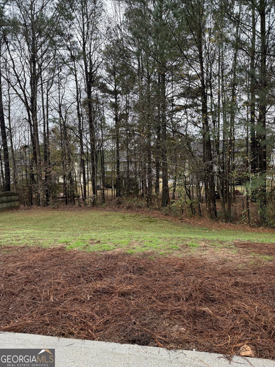 2241 Baker Carter Drive Loganville - 22