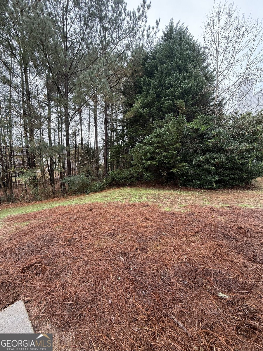 2241 Baker Carter Drive Loganville - Photo 26