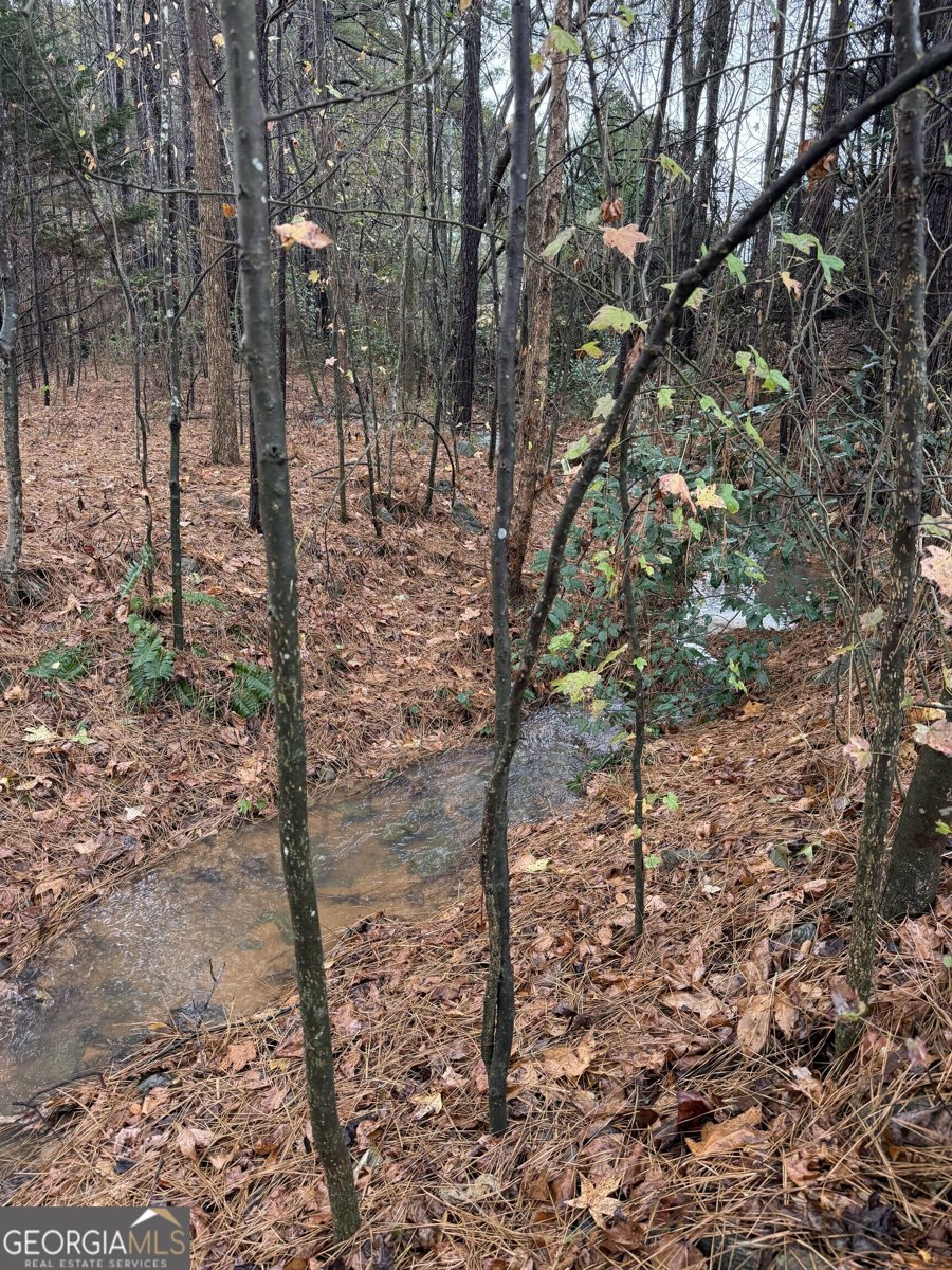 2241 Baker Carter Drive Loganville - Photo 29