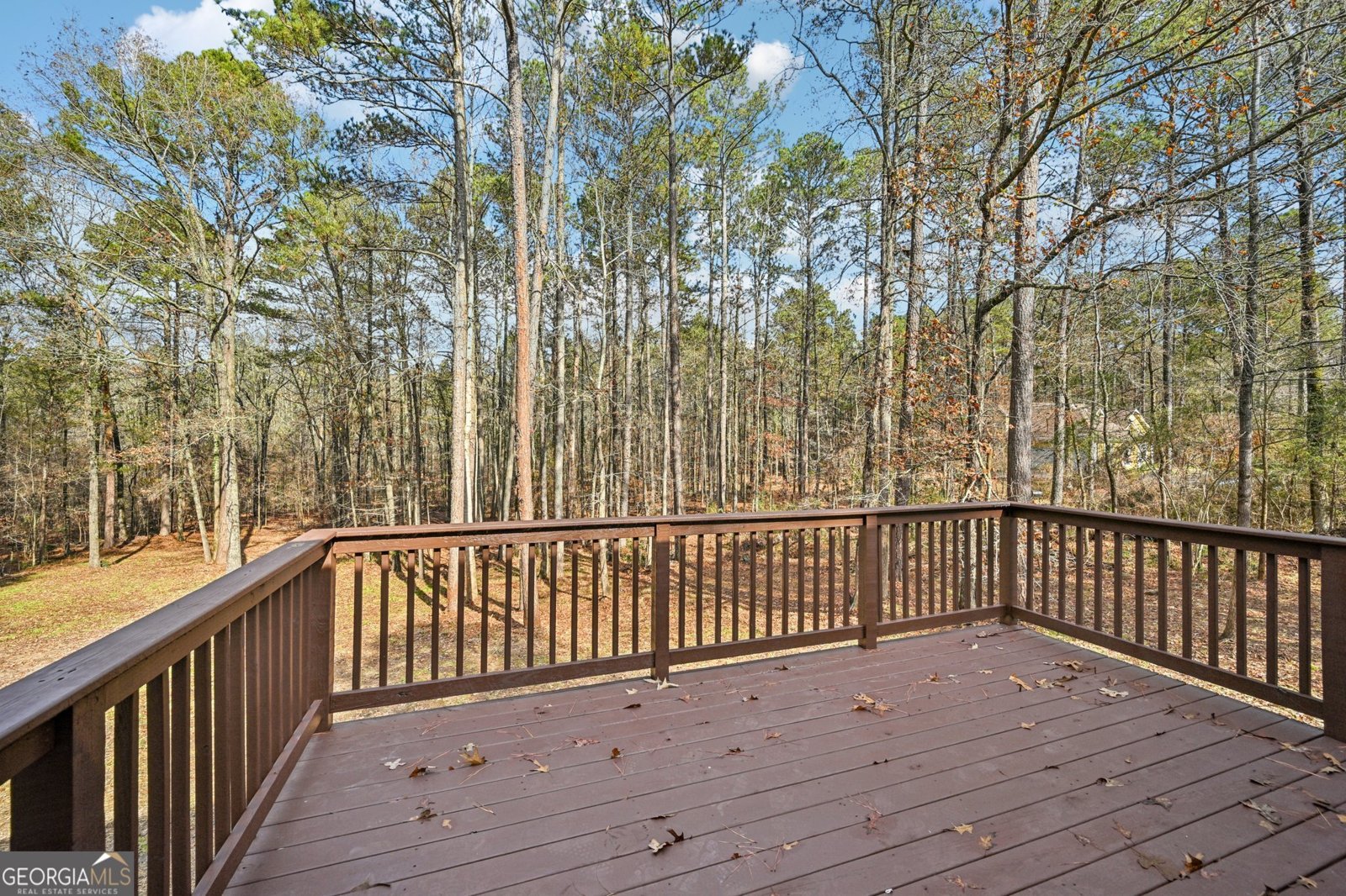 3695 Daniel Bridge Road Conyers - 52