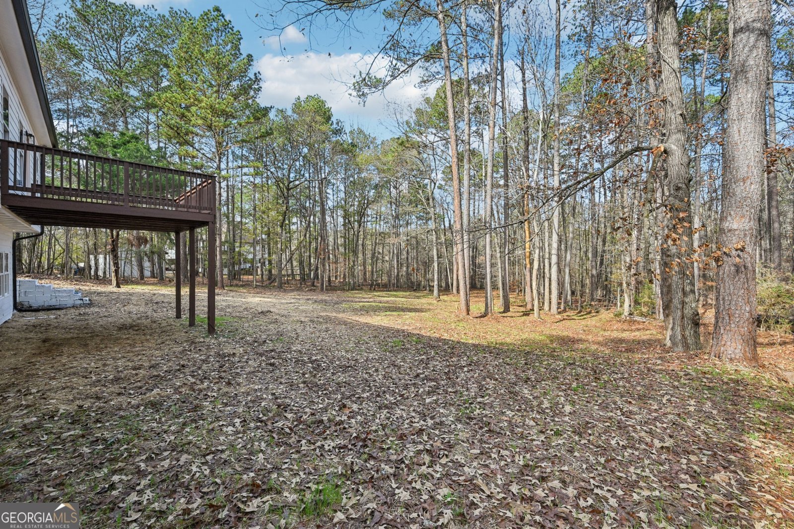 3695 Daniel Bridge Road Conyers - 61