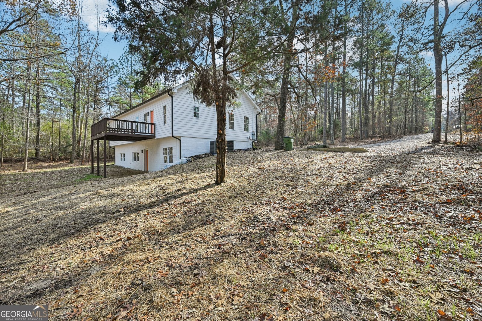 3695 Daniel Bridge Road Conyers - 62