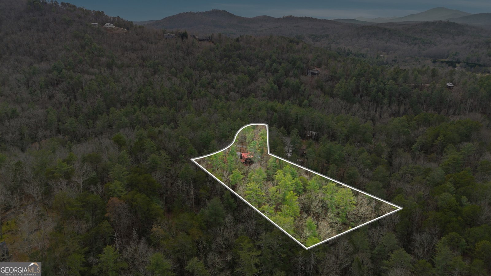 801 Sillycook Trail Clarkesville - 44