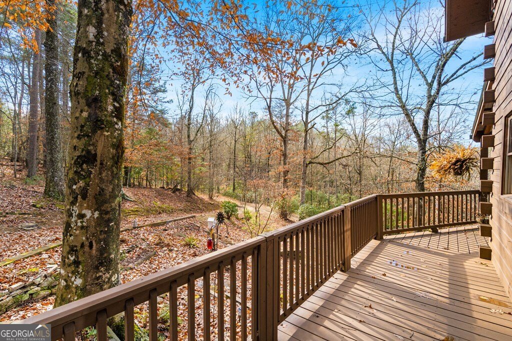 488 Smith Road Brasstown - Photo 23