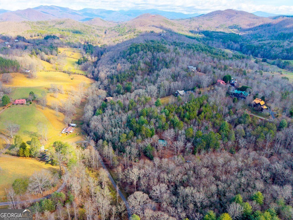 488 Smith Road Brasstown - Photo 37