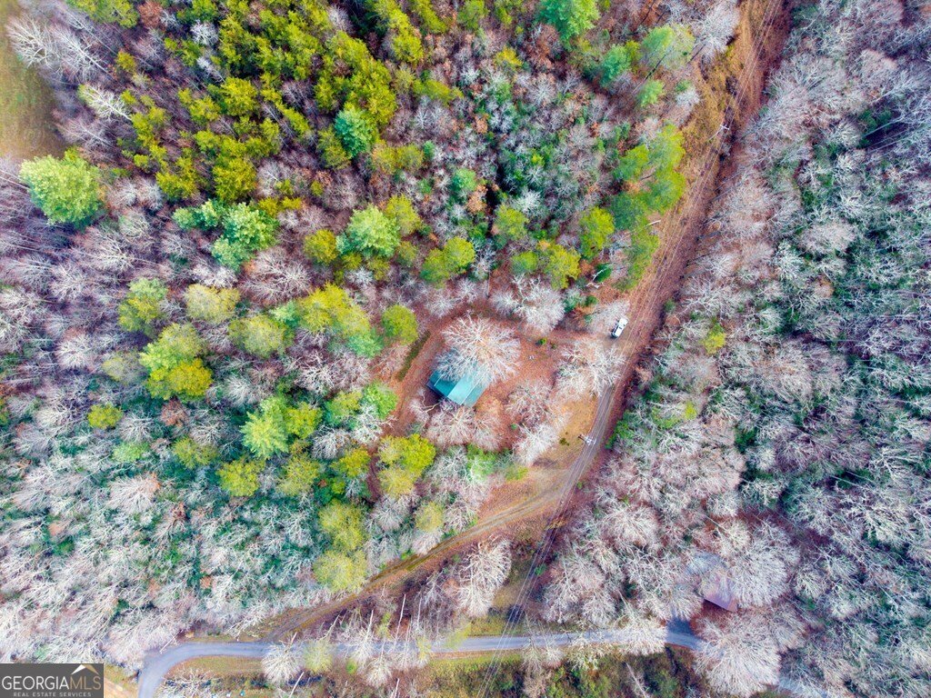 488 Smith Road Brasstown - Photo 38