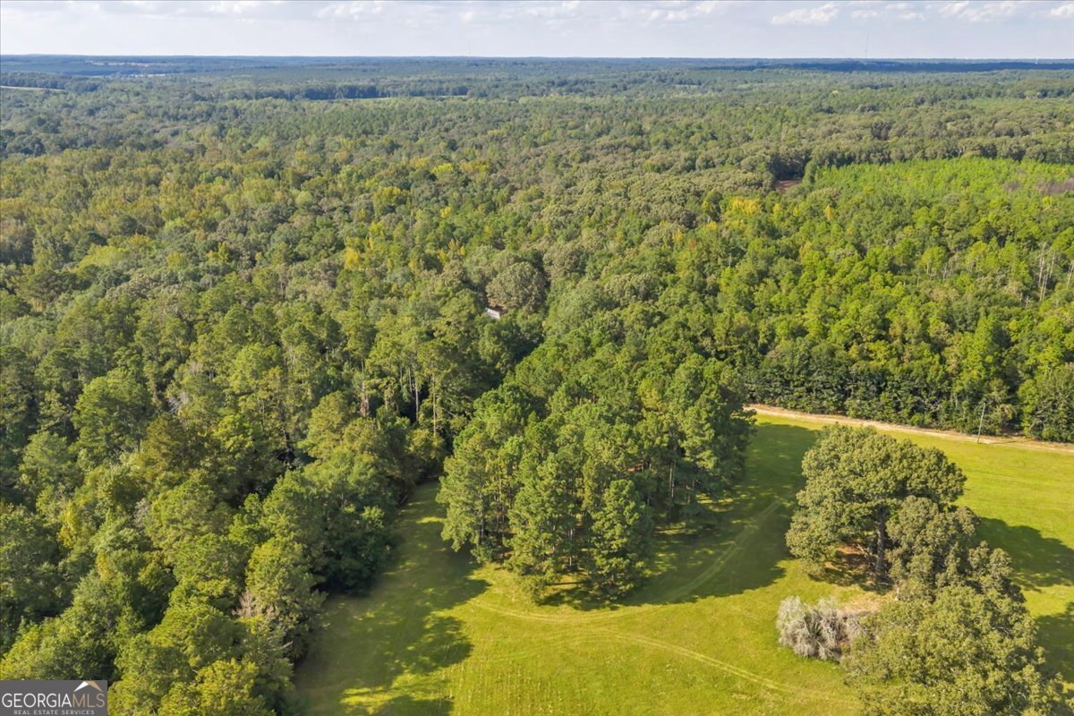 000 Wantland Road Fort Valley - 22