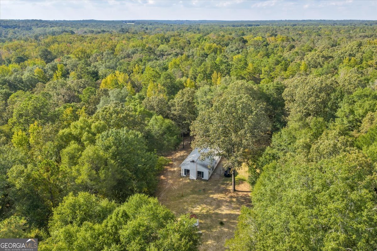 000 Wantland Road Fort Valley - 32