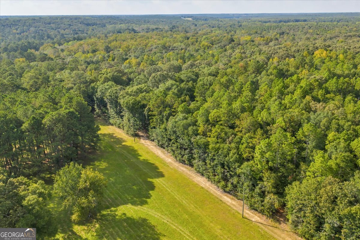 0 Wantland Road Fort Valley - 44