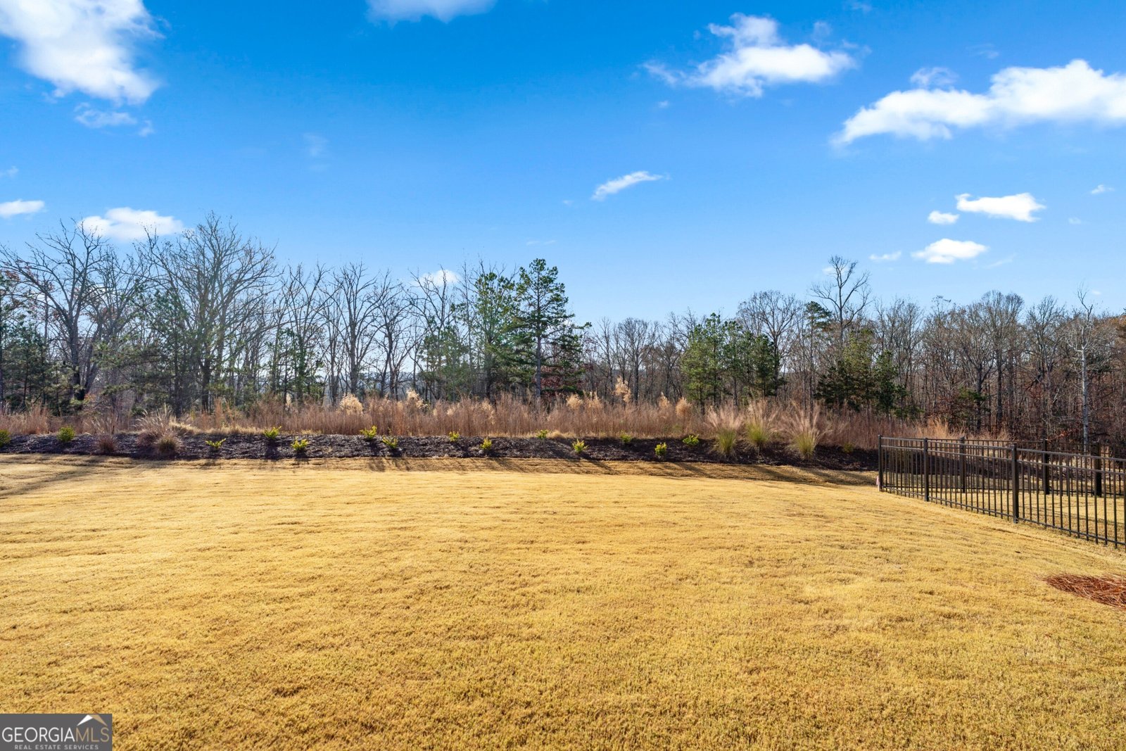 321 Bear Way Hoschton - 37