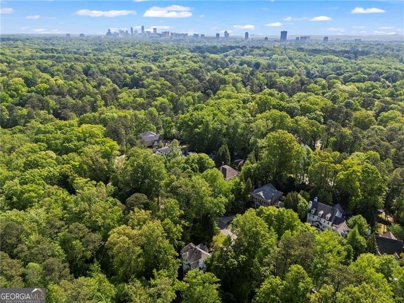 1169 Dawn View Lane Atlanta - 57