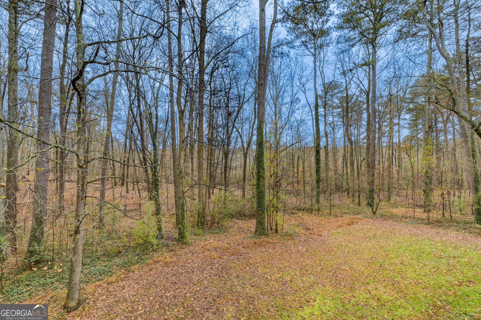 1262 Torrey Place Dacula - 30