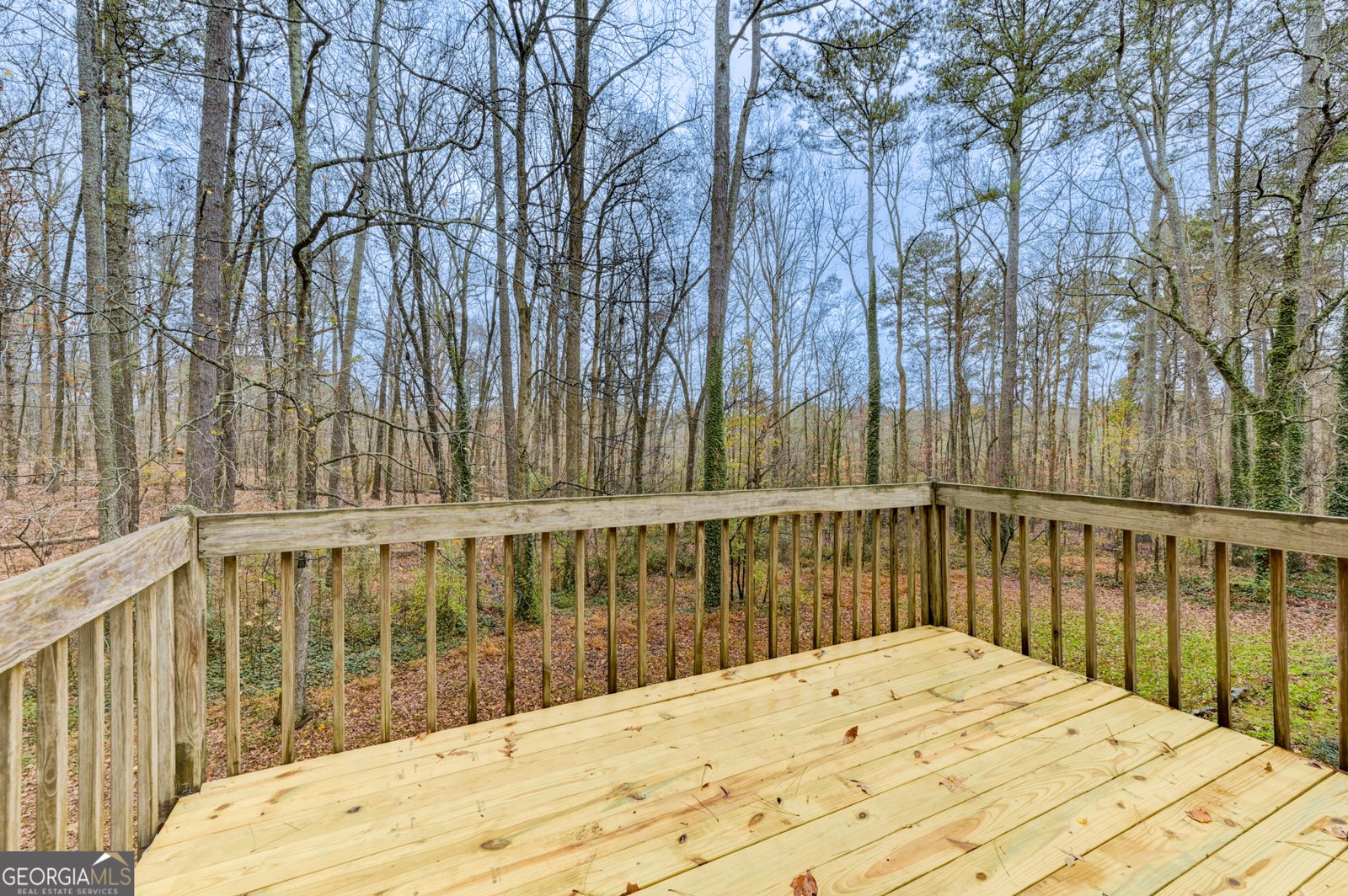 1262 Torrey Place Dacula - 32