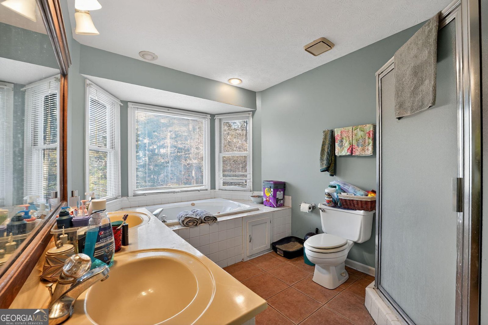 401 The Farm Road McDonough - 12