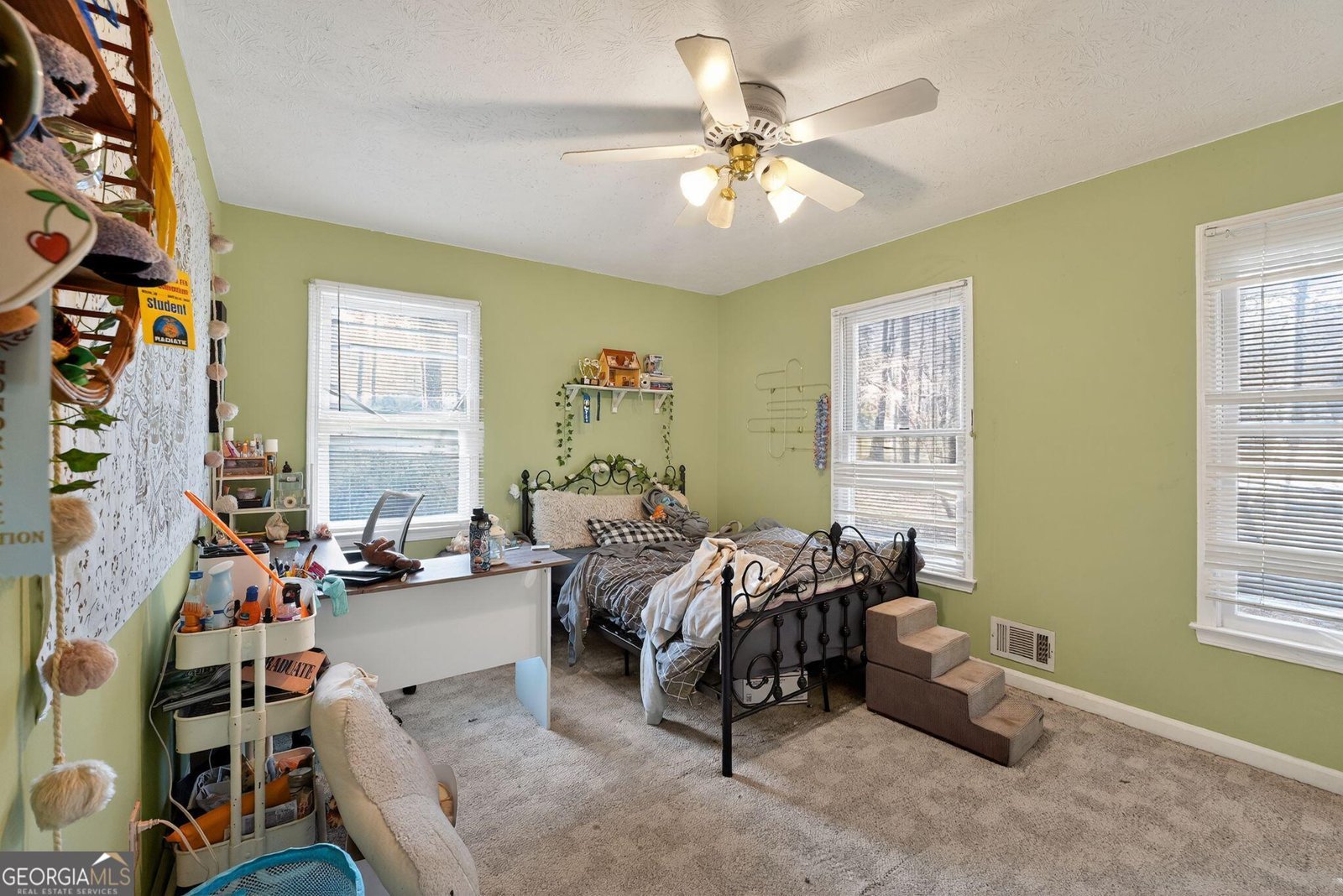 401 The Farm Road McDonough - 14