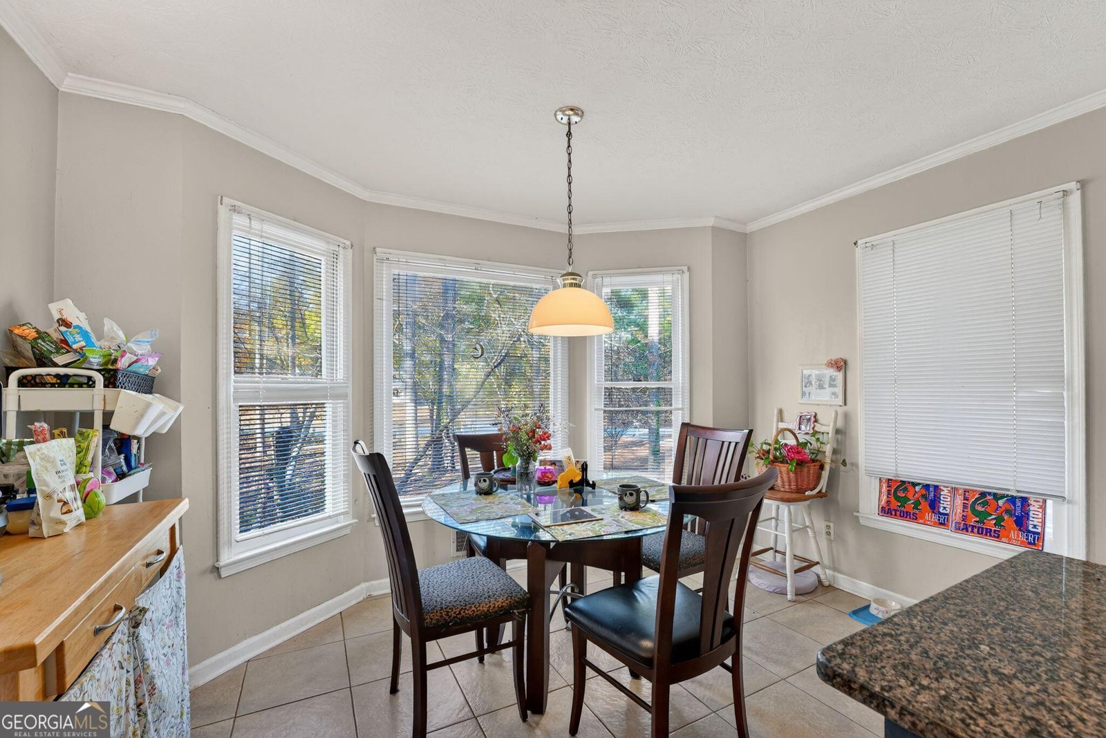 401 The Farm Road McDonough - 8