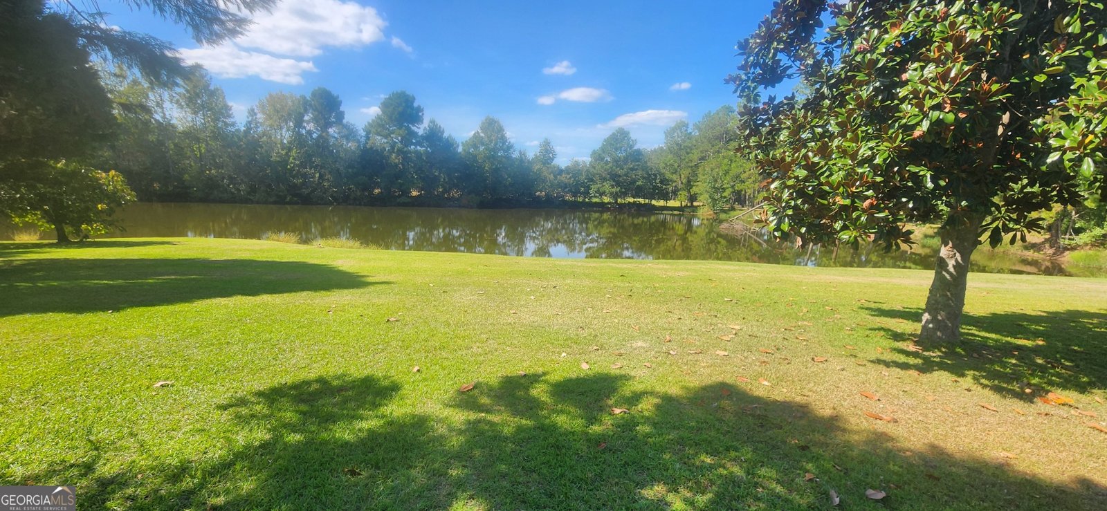 13254 Lake Church Road Metter - 8