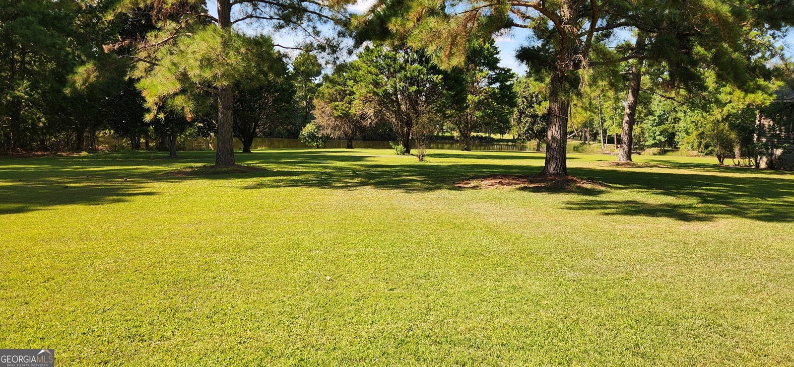 13254 Lake Church Road Metter - 9