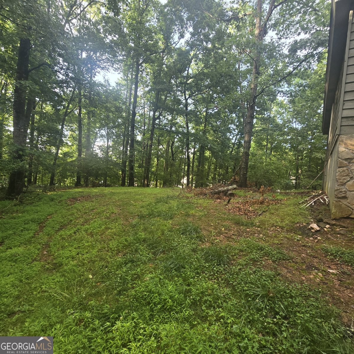 585 Lee Drive Acworth - Photo 37