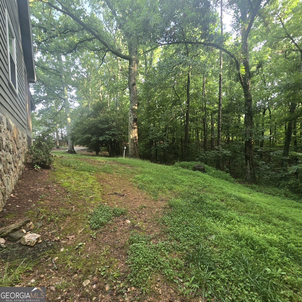 585 Lee Drive Acworth - Photo 39