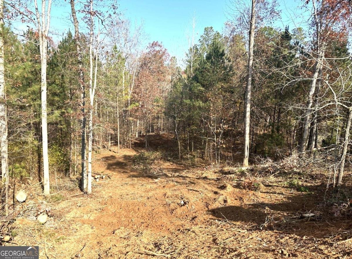 1698 Shoal Creek Way Bishop - 2