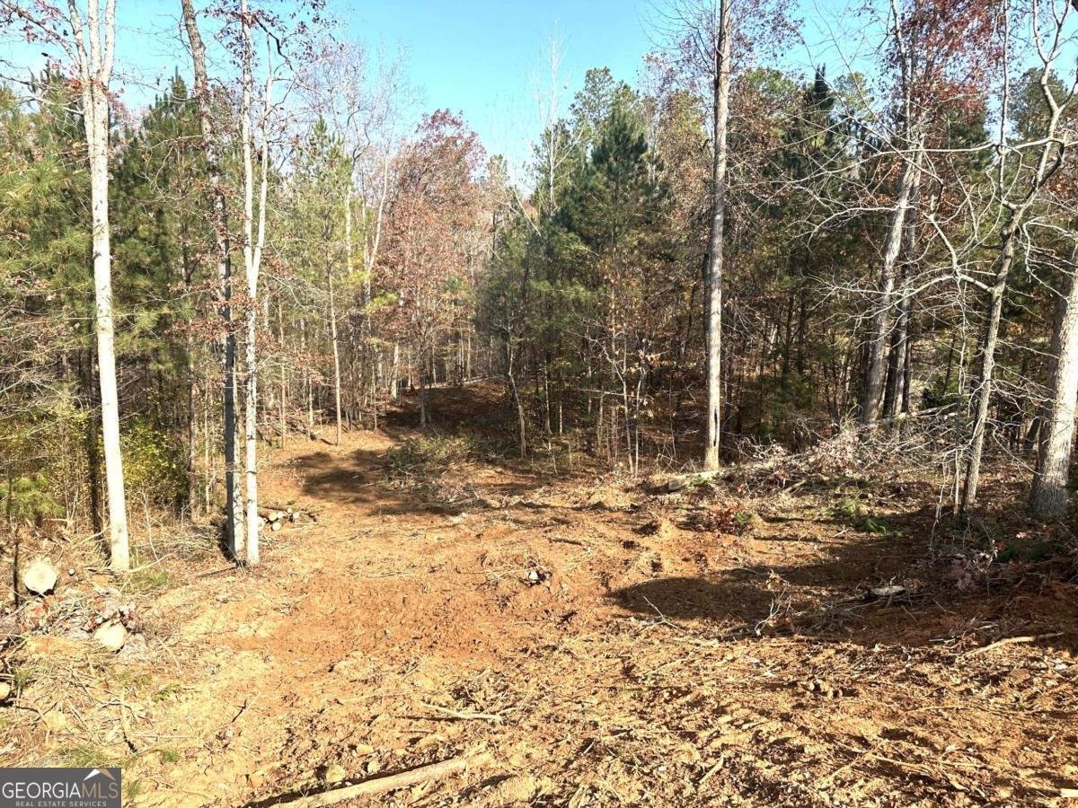 1698 Shoal Creek Way Bishop - 6