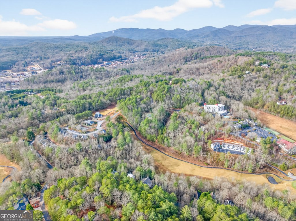 81 Dach Bruecke Gasse Helen - 102