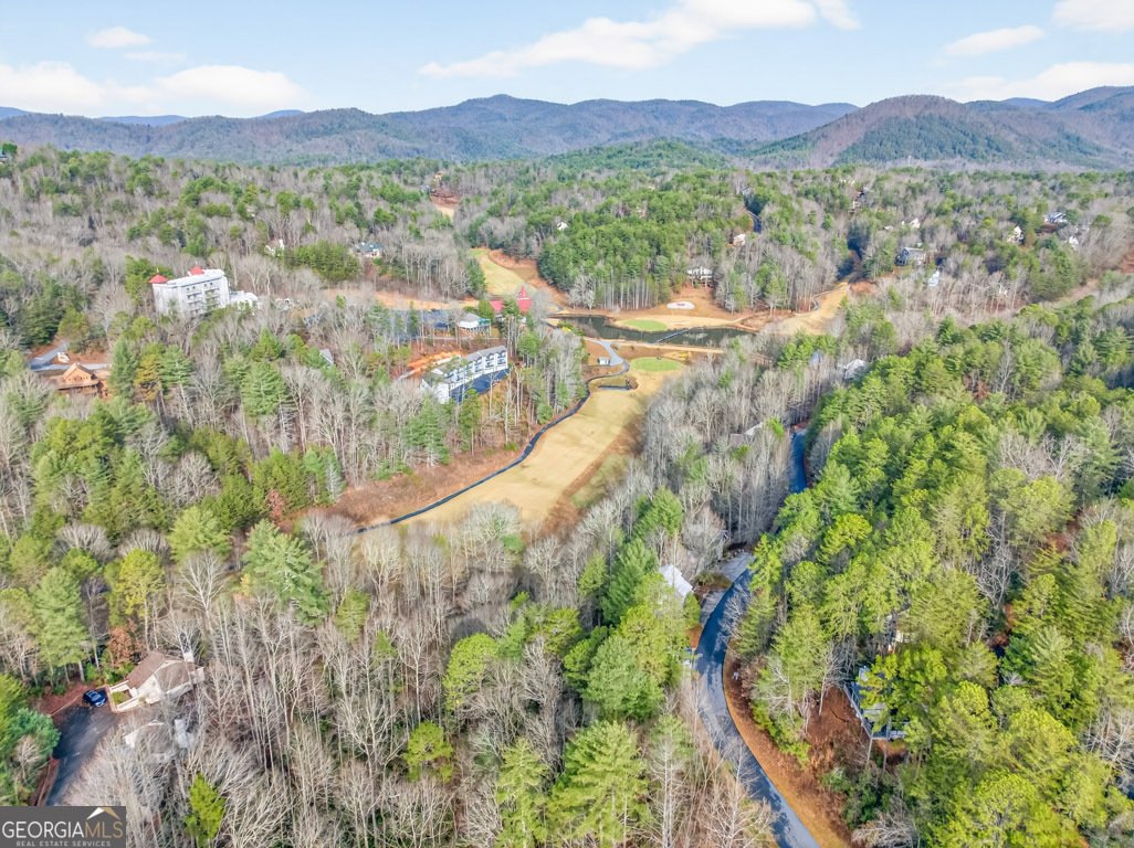 81 Dach Bruecke Gasse Helen - 103