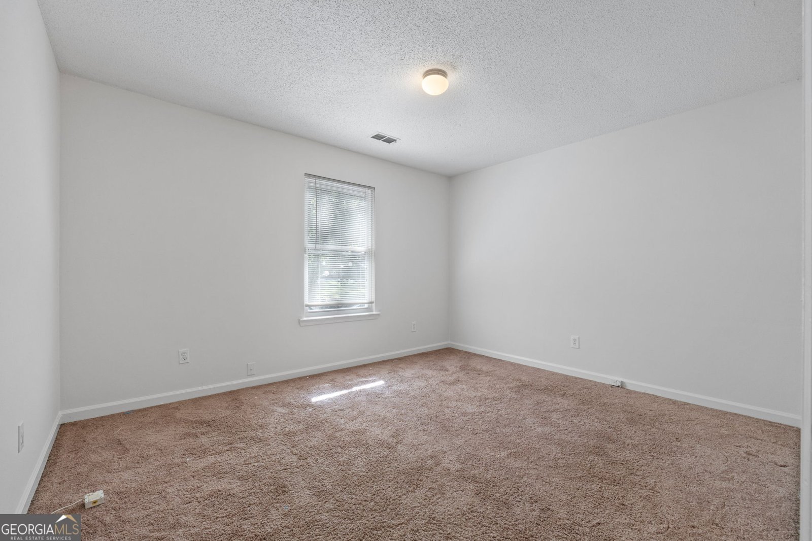 125 Pinewood Drive Senoia - 18