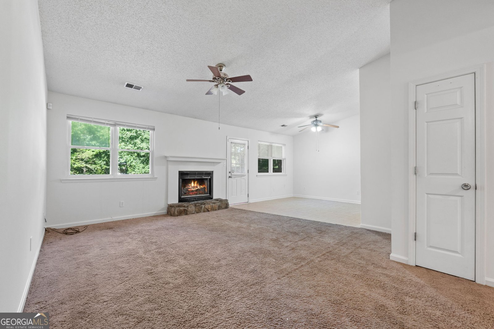 125 Pinewood Drive Senoia - 6