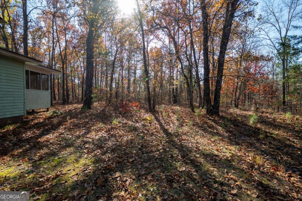 536 Wimberly Hill Road Cedartown - 25