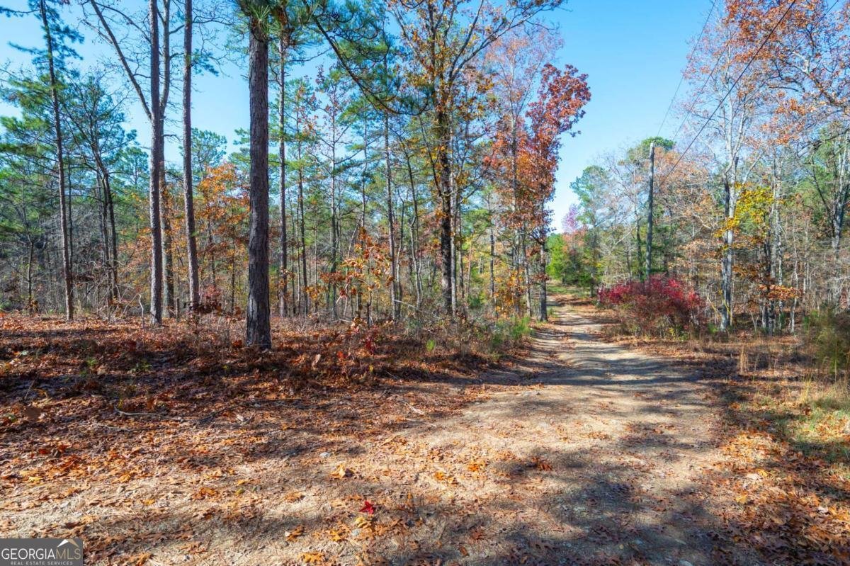 536 Wimberly Hill Road Cedartown - 36