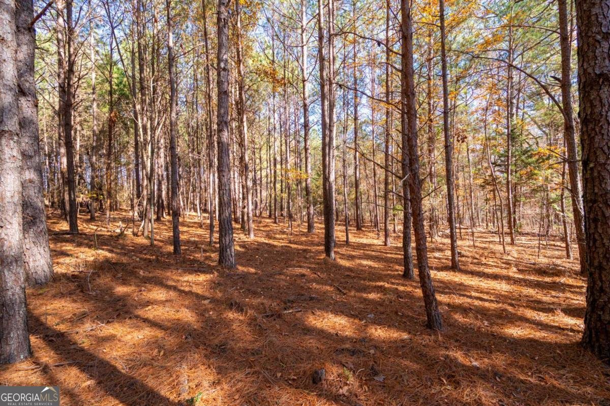 536 Wimberly Hill Road Cedartown - 38