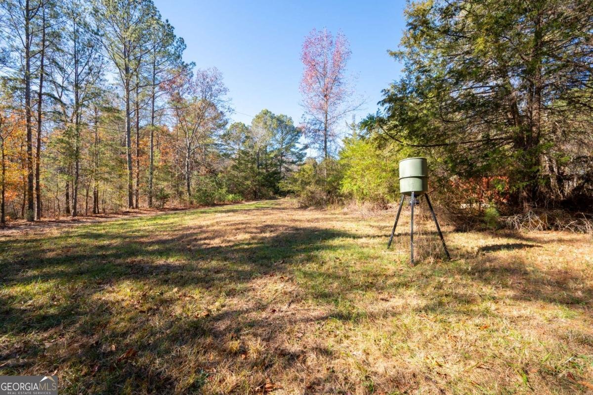 536 Wimberly Hill Road Cedartown - 39