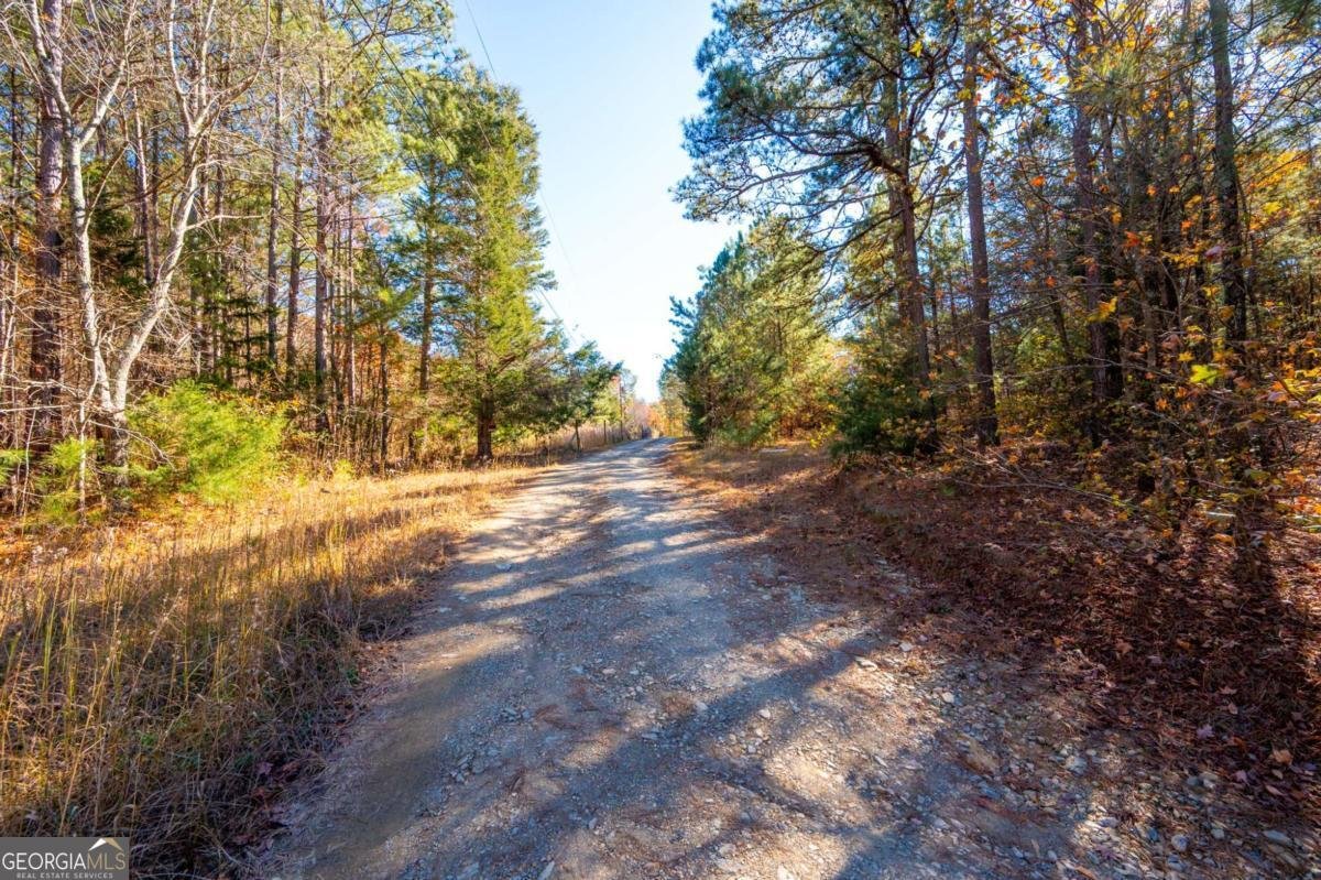 536 Wimberly Hill Road Cedartown - 47