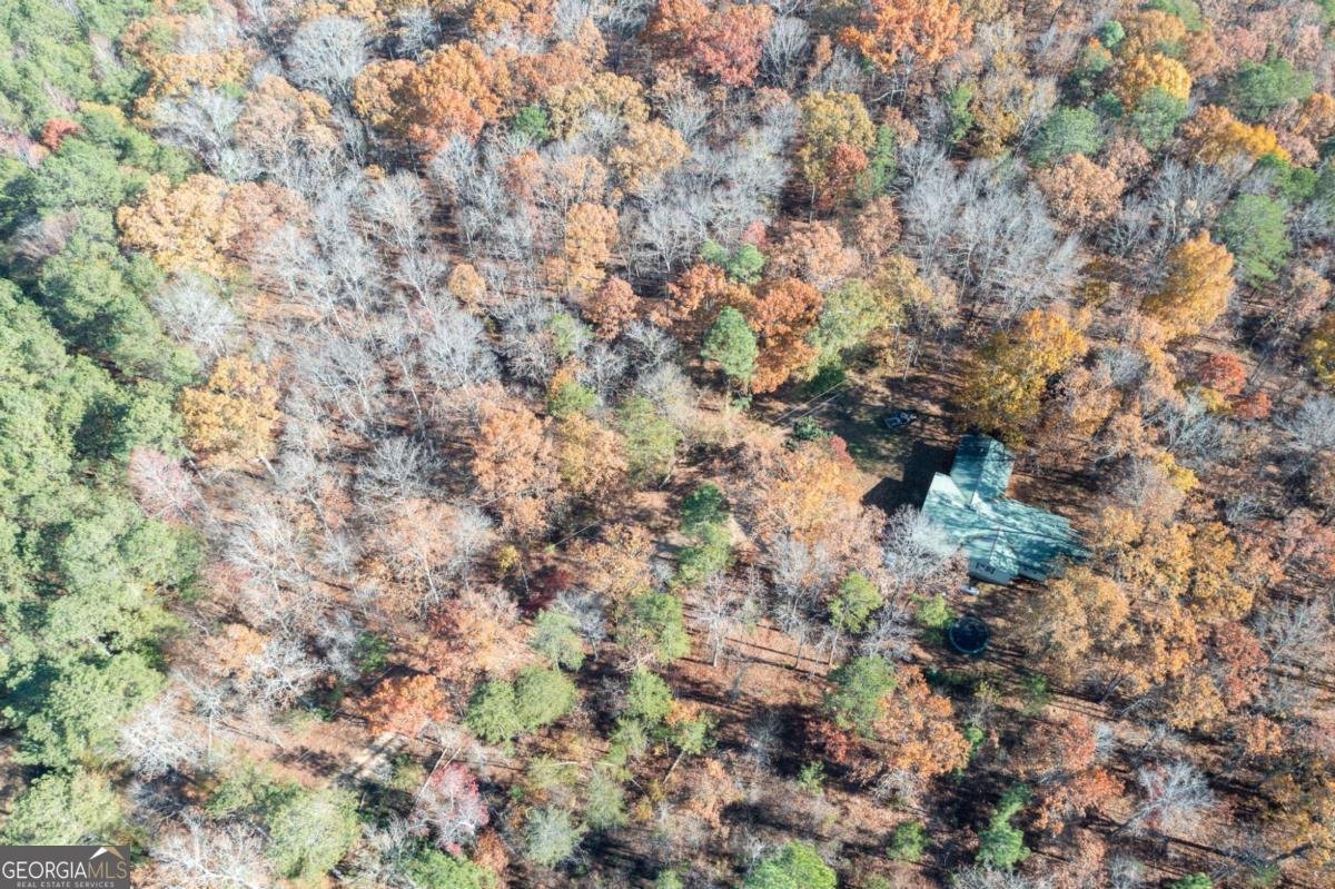 536 Wimberly Hill Road Cedartown - 49