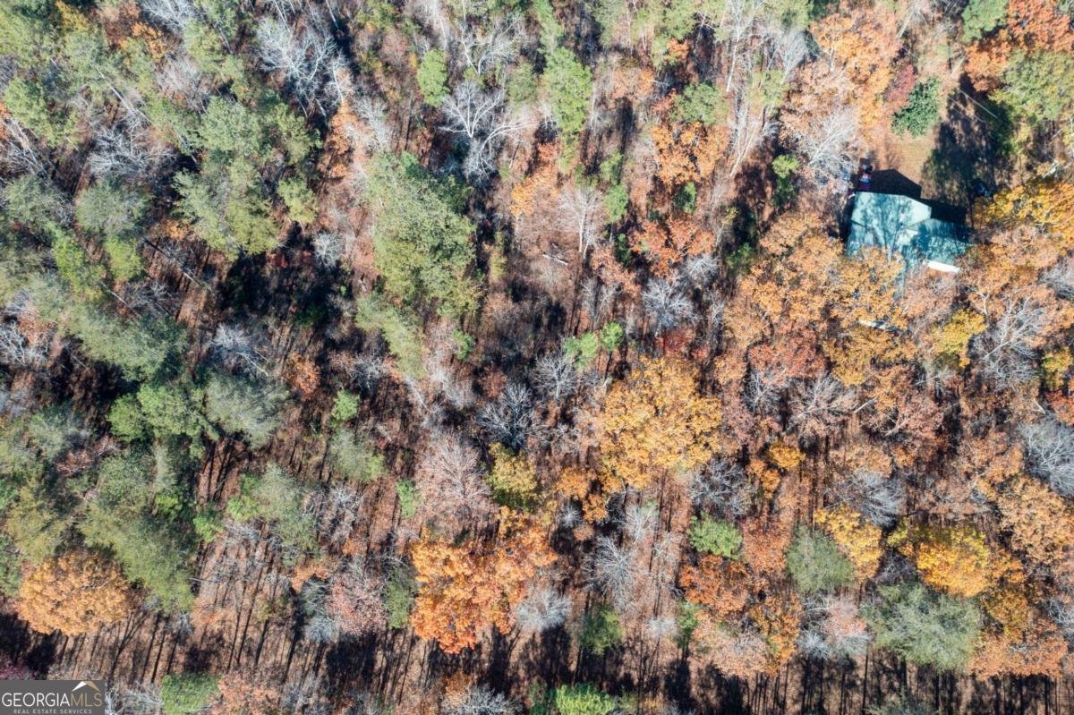 536 Wimberly Hill Road Cedartown - 52