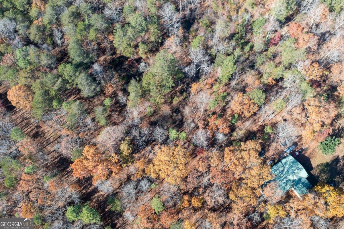 536 Wimberly Hill Road Cedartown - 53