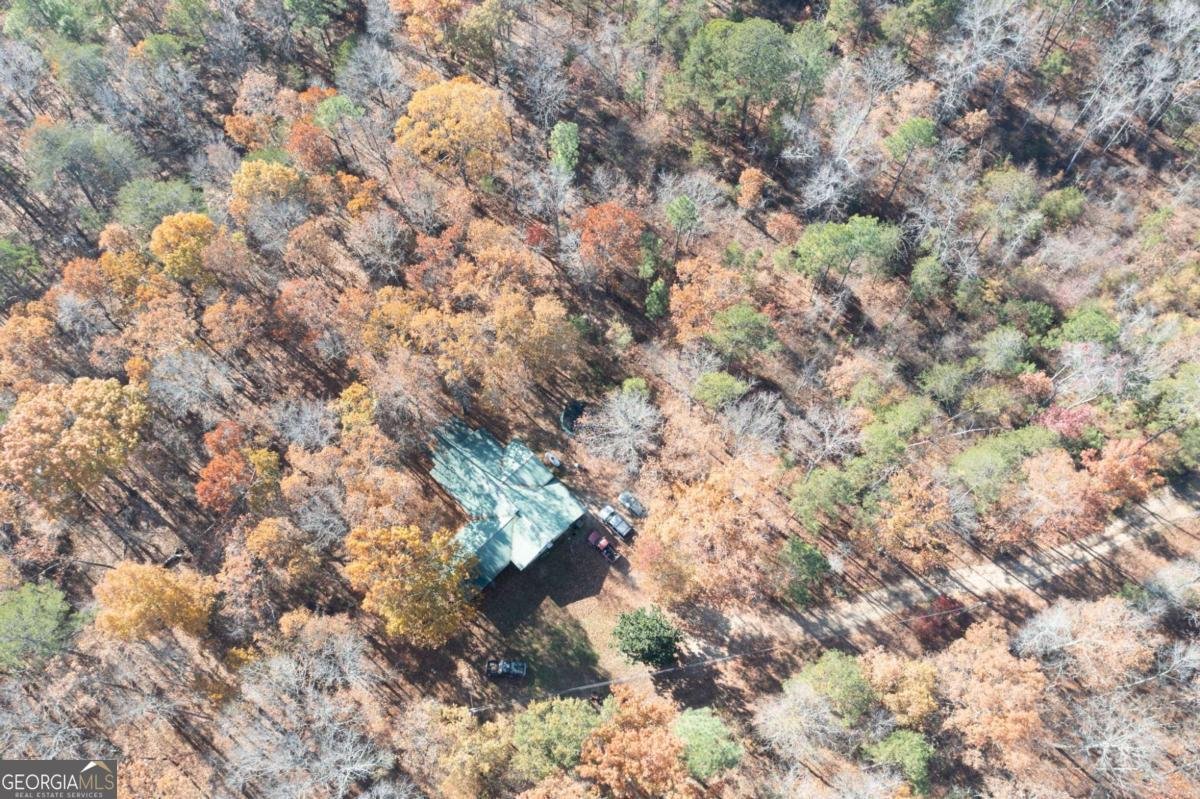 536 Wimberly Hill Road Cedartown - 55