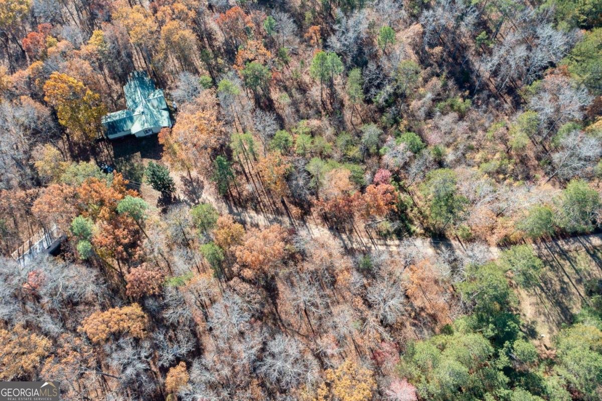 536 Wimberly Hill Road Cedartown - 57