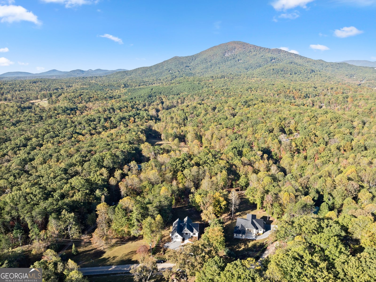 2123 Goat Neck Road Cleveland - 58