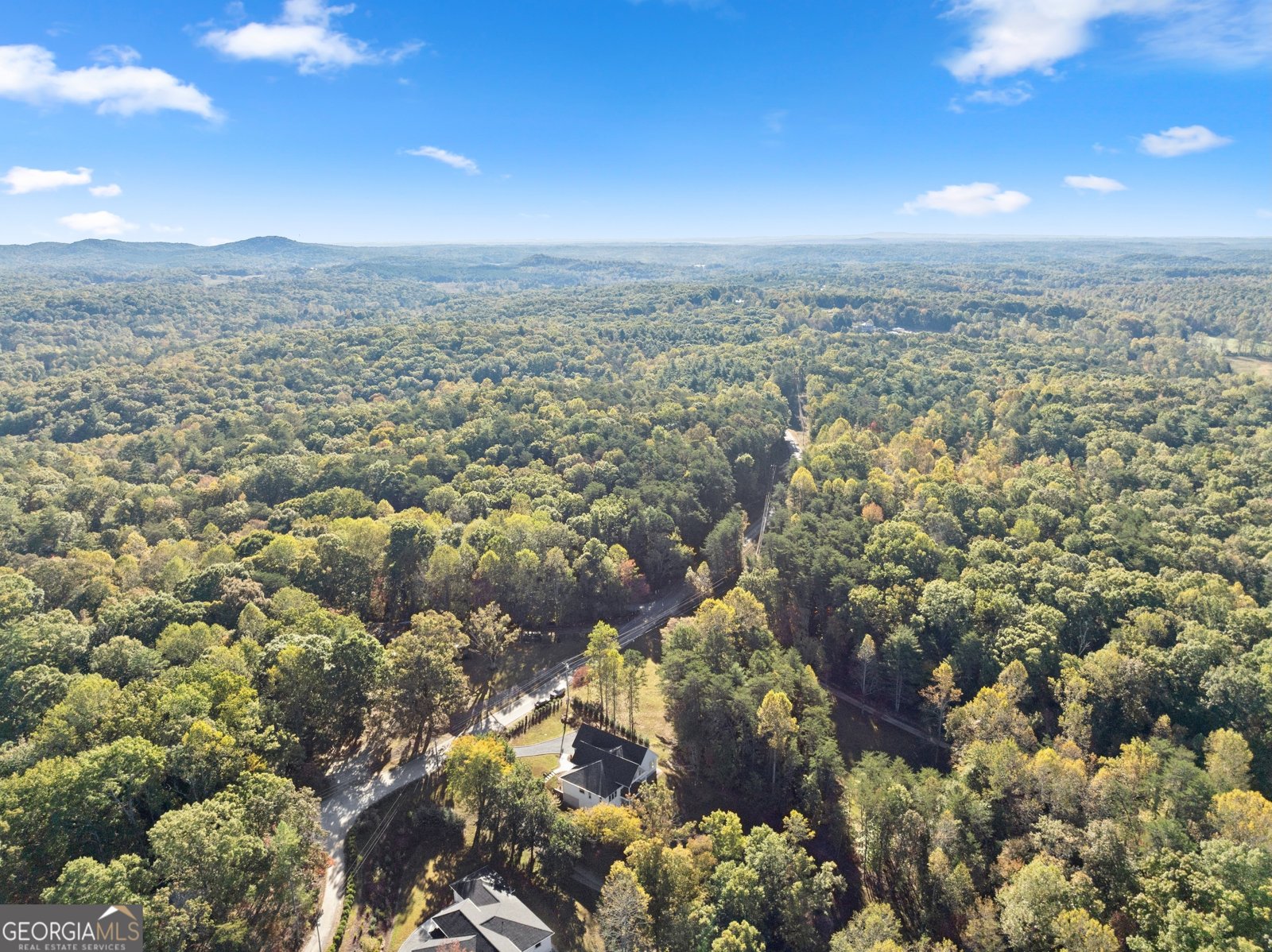 2123 Goat Neck Road Cleveland - 63