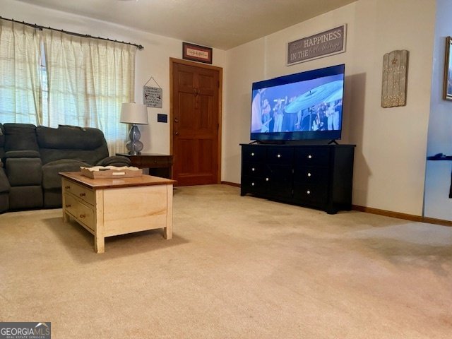 17 Chattahoochee Drive Hogansville - 16