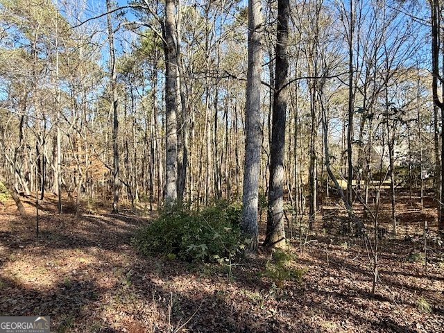 17 Chattahoochee Drive Hogansville - 29