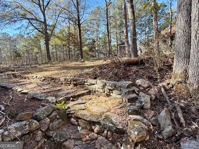 17 Chattahoochee Drive Hogansville - 30